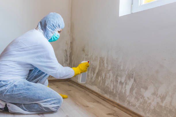 Mold inspector in Burlington performing thermal imaging