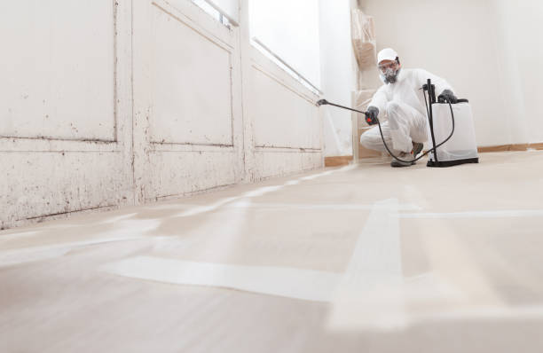 Black mold remediation team in Burlington